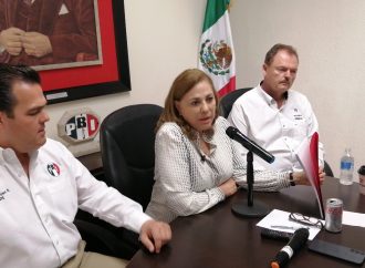 Morena no tendrá la mayoría en las cámaras: Graciela Ortiz González