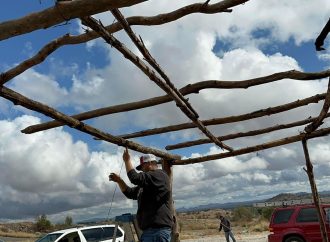 Inician hoy festividades Yaquis en Coloso Alto