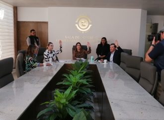 Aprueban el cuidado de flora nativa en los municipios