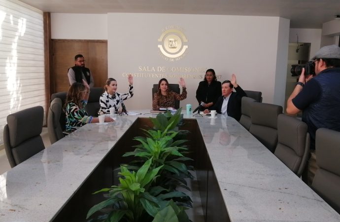 Aprueban el cuidado de flora nativa en los municipios