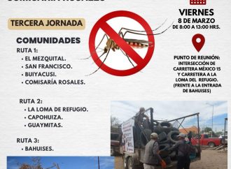 Inicia programa de descacharre para combatir el dengue en Navojoa