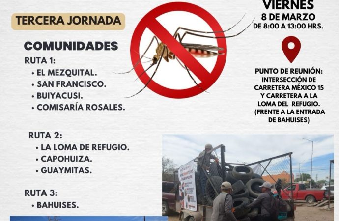 Inicia programa de descacharre para combatir el dengue en Navojoa