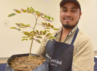 Realiza Ayuntamiento de Hermosillo cursos sobre plantas nativas en colaboración con la Universidad de Arizona
