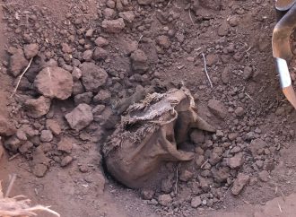 Sube a 29 el número de fosas descubiertas por Madres Buscadoras