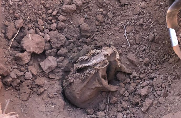 Sube a 29 el número de fosas descubiertas por Madres Buscadoras