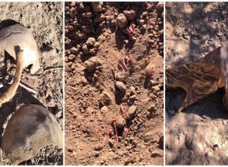 Encuentran cuerpos enterrados en Panteón Clandestino en la Costa de Hermosillo