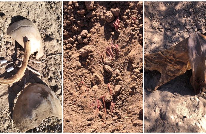 Encuentran cuerpos enterrados en Panteón Clandestino en la Costa de Hermosillo