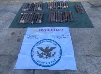 Interceptan droga en ferrocarril de Nogales