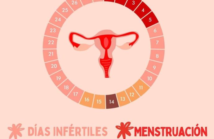 Proponen al Congreso de la Unión días de incapacidad por menstruación