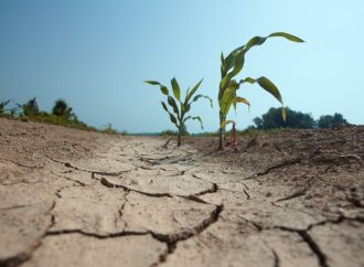 Insiste&nbsp;SAGARHPA&nbsp;en optimizar uso del agua en materia Agrícola y garantizar la que se destinará para consumo Humano