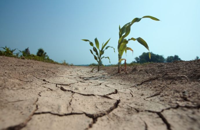 Insiste&nbsp;SAGARHPA&nbsp;en optimizar uso del agua en materia Agrícola y garantizar la que se destinará para consumo Humano