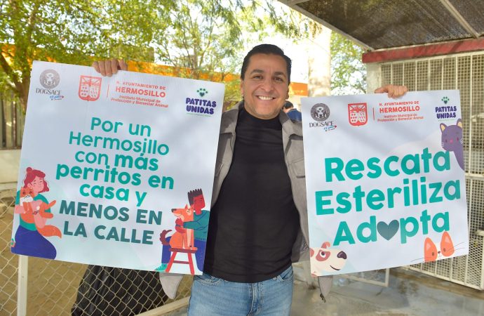 Cuadruplicó Ayuntamiento de Hermosillo esterilizaciones a mascotas en 2023