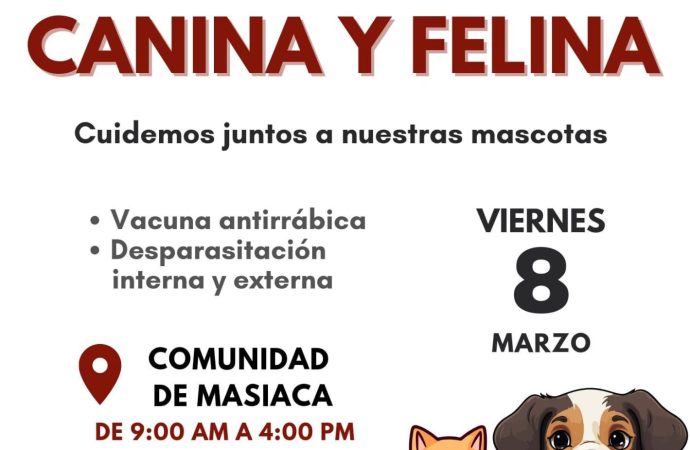 <strong>Jornada de esterilización canina y felina en Masiaca organizada por la Dirección de Salud Municipal</strong>