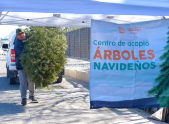 Llama Gobierno Municipal a aprovechar los centros de acopio de pinos navideños