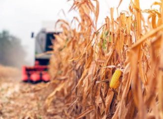 Los días del campo ya están contados: Omar Guillén
