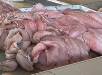 Pescaderías de Cajeme esperan incremento en ventas por Semana Santa
