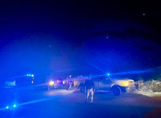 Hallan a niña de 12 años asesinada y sobre la carretera