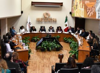 Aprueba IEE&nbsp; que los consejos municipales y distritales sesionen en línea