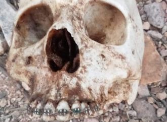 Encuentran Madres Buscadoras restos humanos en carretera Hermosillo- Úres