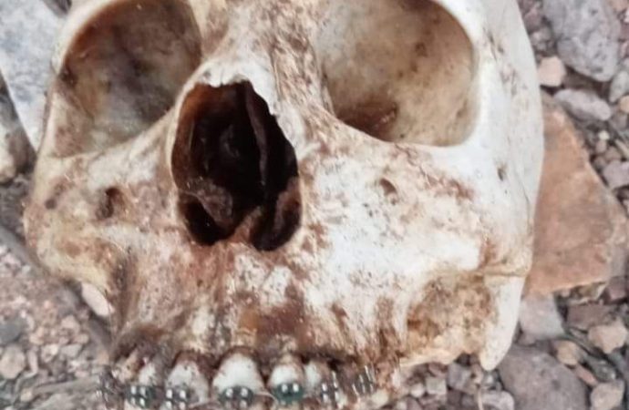 Encuentran Madres Buscadoras restos humanos en carretera Hermosillo- Úres