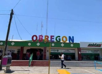 Esperan entre 10 y 25% de incremento líneas de transporte