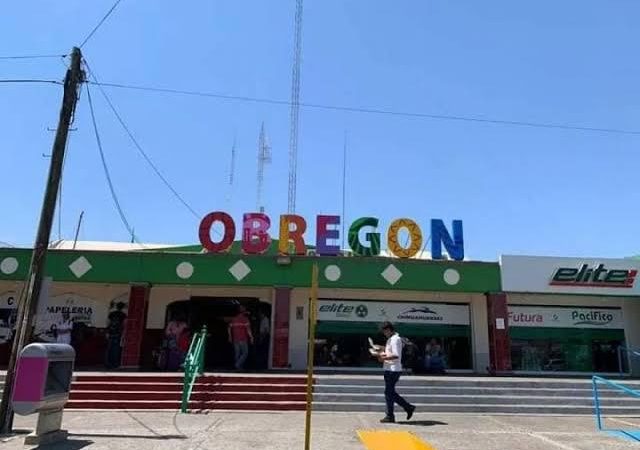 Esperan entre 10 y 25% de incremento líneas de transporte