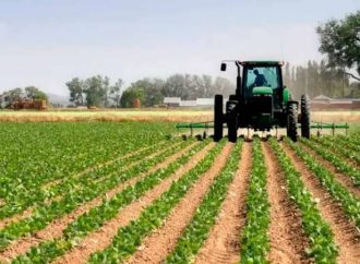 México onceavo lugar en materia de producción de alimentos