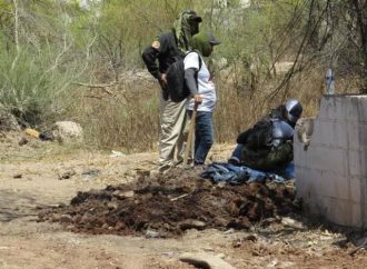 2024 podría superar al 2023 en hallazgos de cuerpos en fosas clandestinas