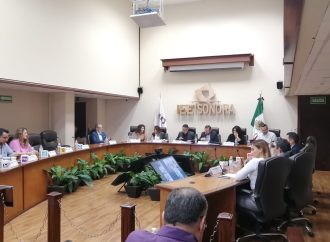 Aprueban la implementación de la 3 de 3 para las elecciones locales