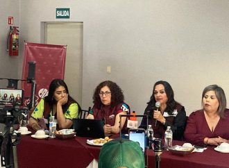 Gabriela Martínez respalda reelección de Lamarque pero “Anabel Acosta debe formarse en la fila”