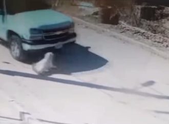 Magdalenenses piden justicia para Palomo