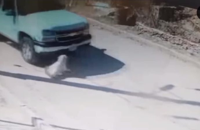 Magdalenenses piden justicia para Palomo