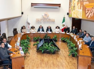 Establece IEE obligatoriedad de participación de personas con discapacidad y LGBTQ+ en elecciones