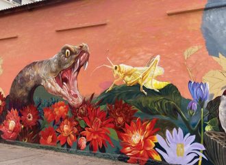 En icónicos almacenes plasman artistas rasgos culturales de la región