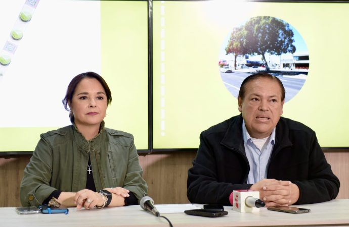 El Ayuntamiento de Hermosillo repondrá con especies nativas los árboles afectados en camellón del bulevar Rodríguez