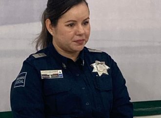 Mujeres, Niños y Adultos Mayores Víctimas más frecuentes de Violencia Familiar