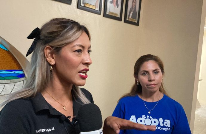 Solicitan esterilización para mascotas en condición de calle