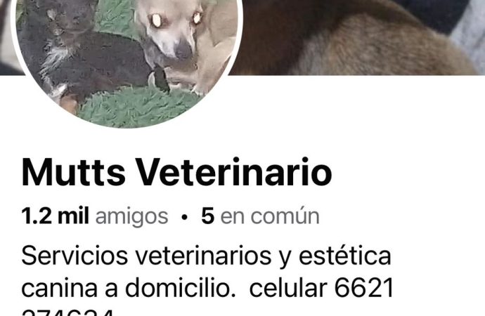 Colegio de Veterinarios exhibe a presunto usurpador