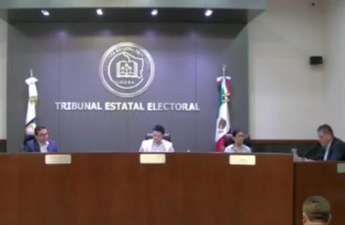 Reconoce el TEE la candidatura de María Dolores del Río