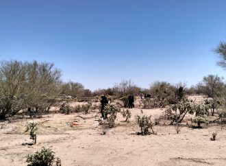 Madres Buscadoras encuentras restos humanos en Hermosillo