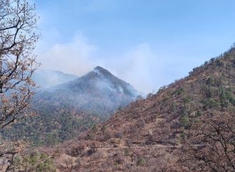 Combaten 32 incendios forestales en Sonora este 2024