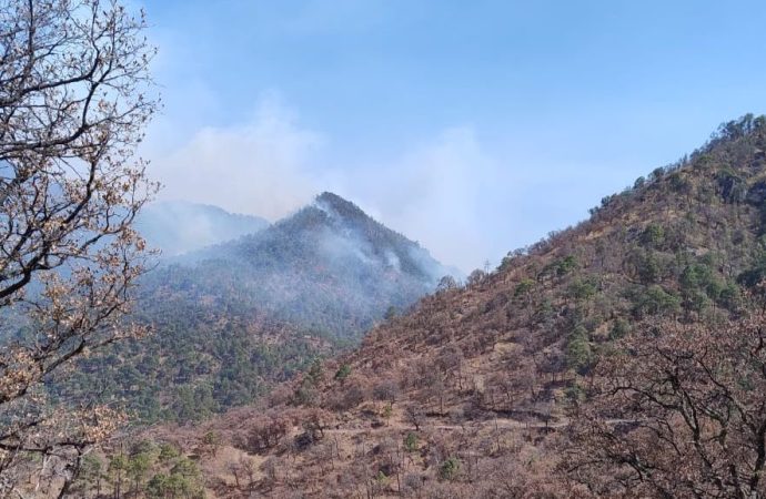 Combaten 32 incendios forestales en Sonora este 2024