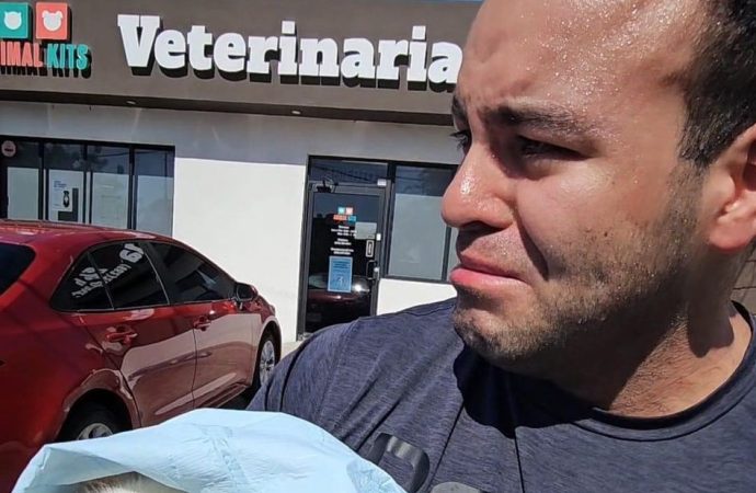 Tristeza e indignación: Lleva a su perrita a una limpieza dental y se la devuelven muerta en Hermosillo