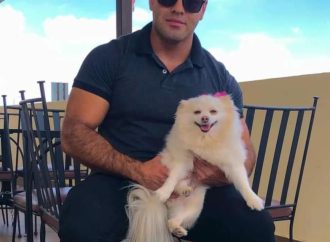 Perrita Channel habría muerto por caída en veterinaria