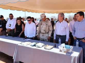 Incineran más de una tonelada de droga