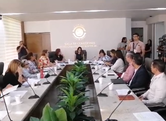 Buscan que los ayuntamientos cuenten con censo de mascotas