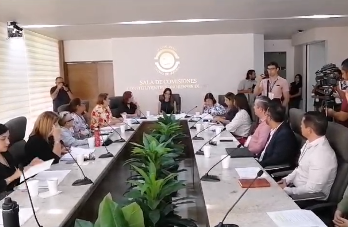 Buscan que los ayuntamientos cuenten con censo de mascotas