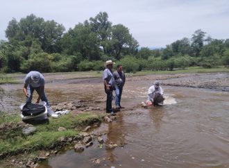 Gobierno de Cajeme garantiza calidad del agua tras mortandad de Peces en el Río Yaqui