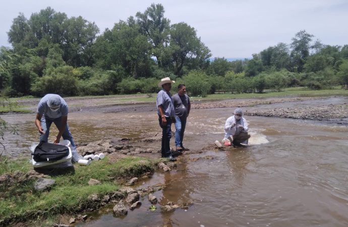 Gobierno de Cajeme garantiza calidad del agua tras mortandad de Peces en el Río Yaqui