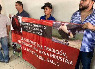 Piden galleros no prohibir las peleas en Sonora